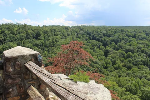 Buck's Pocket State Park