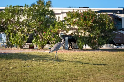Destin West RV Resort