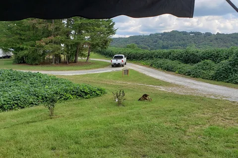 Plum Nelly Campground