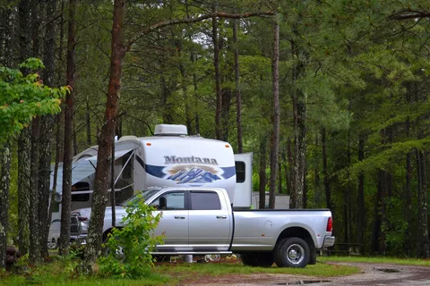Plum Nelly Campground