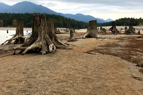 Skokomish Park At Lake Cushman