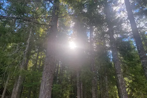 Skokomish Park At Lake Cushman