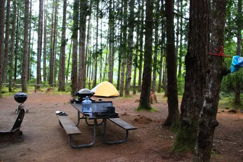 Skokomish Park At Lake Cushman