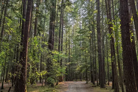 Skokomish Park At Lake Cushman