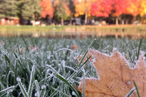 Tri Ponds Family Camp Resort