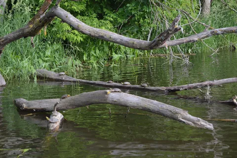 Oak Park Campground