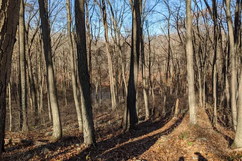 Stephens State Park