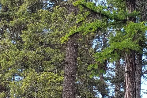 Logan State Park