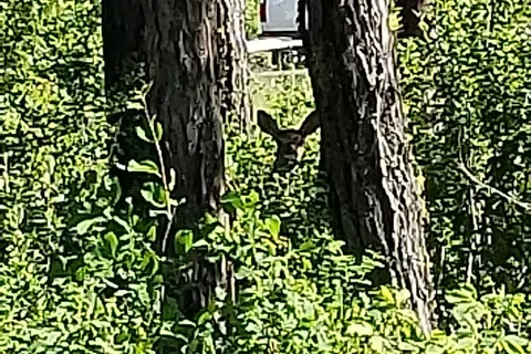 Logan State Park