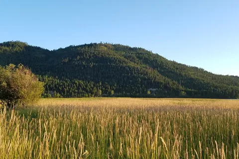 Logan State Park