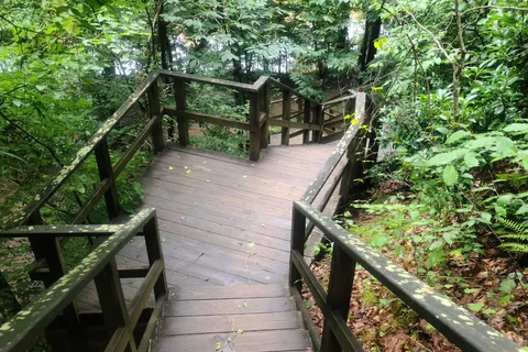Raven Rock State Park Campground