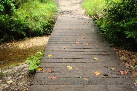 Raven Rock State Park Campground