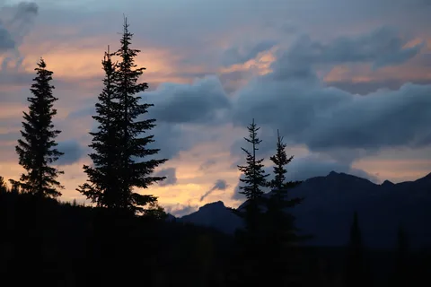 Whistlers - Jasper National Park