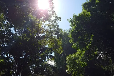 Peach Orchard Campground