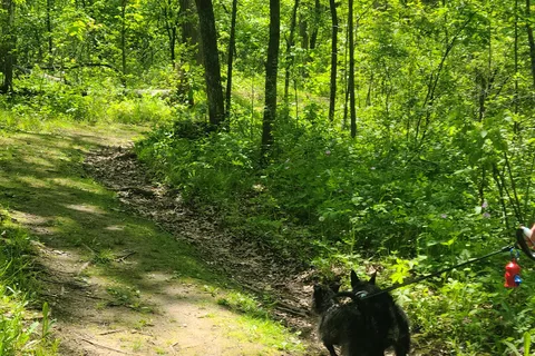 New Glarus Woods State Park