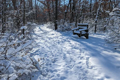 New Glarus Woods State Park