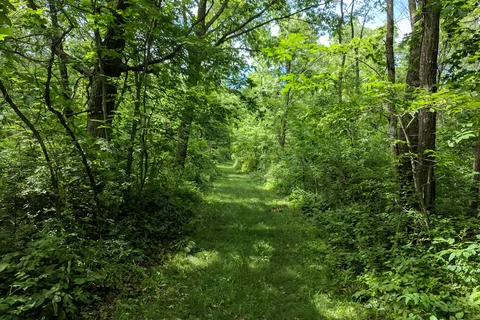 New Glarus Woods State Park
