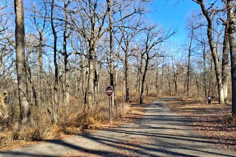 New Glarus Woods State Park