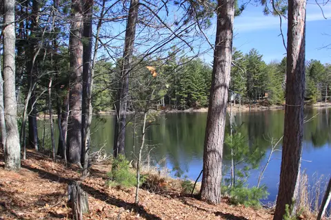 Patricia Lake Campgrounds, Inc