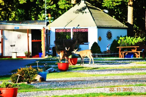 Port Orford RV Village