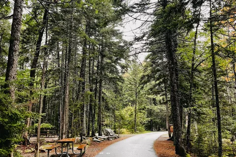 Blackwoods Campground - Acadia National Park