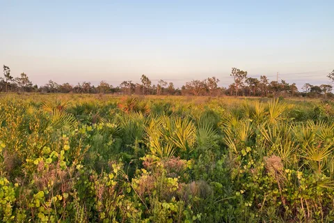 Lake Manatee State Park