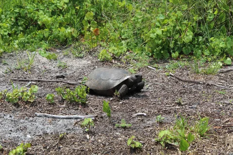 Lake Manatee State Park