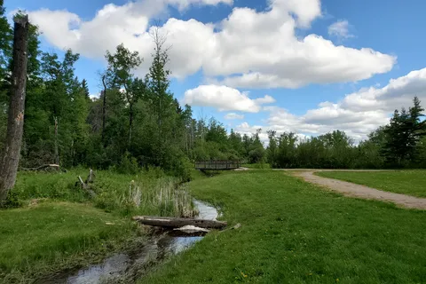 Murray Point - Emma Lake Provincial Rec Site
