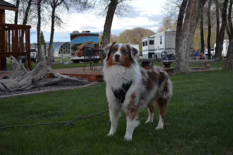 Dubois / Wind River KOA Holiday