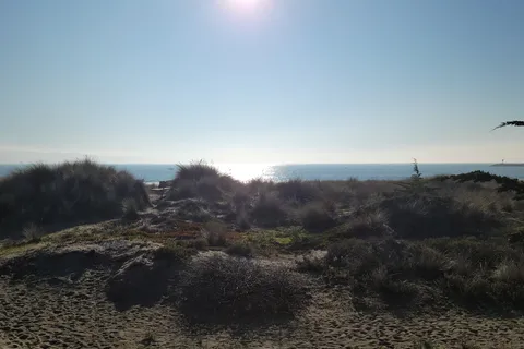 Bodega Bay RV Park