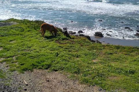 Bodega Bay RV Park
