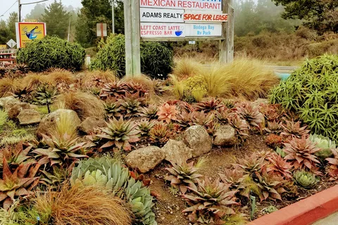 Bodega Bay RV Park