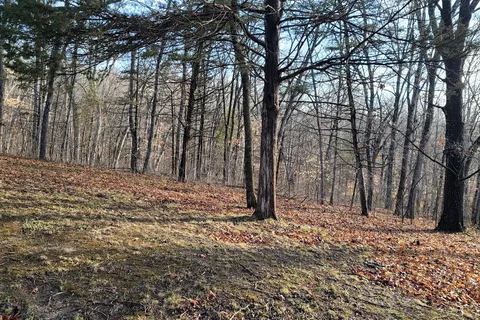 Graham Cave State Park