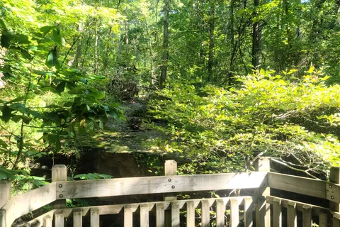 Graham Cave State Park