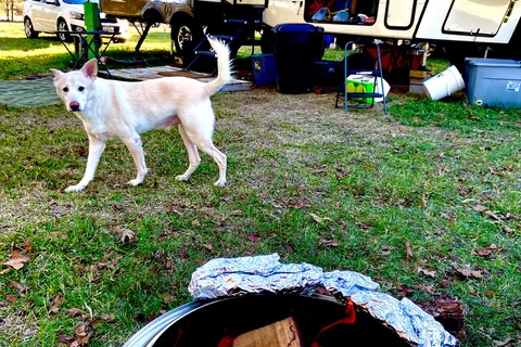 Stay A While RV Park and Farm