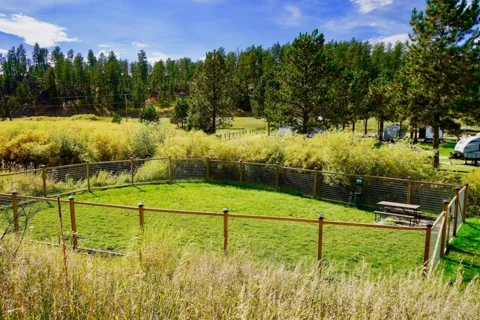 Larsson's Crooked Creek Resort