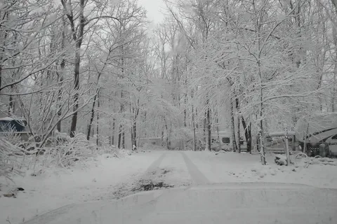 Birchview Farm Campgrounds