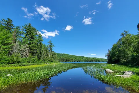 Ricker Pond State Park