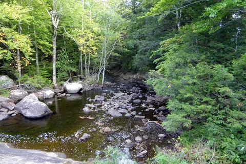 Ricker Pond State Park