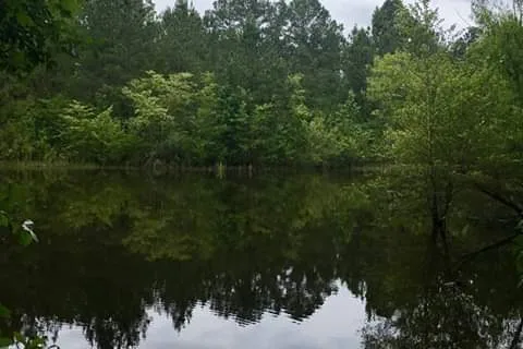 Fayetteville RV Resort and Cottages