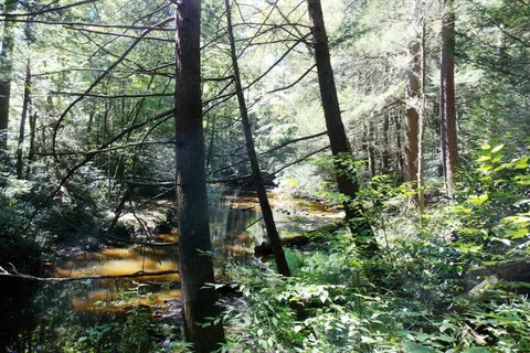Jim Thorpe Camping Resort