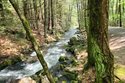 Jim Thorpe Camping Resort