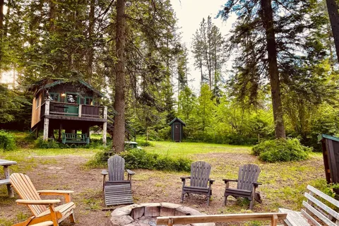 Amongst the Pines
