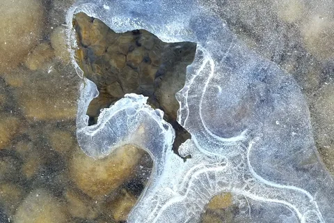 Oldman River Provincial Recreational Area