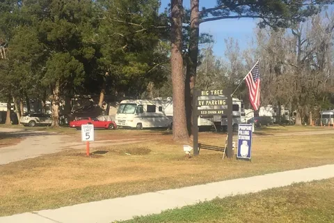 Big Tree RV Park
