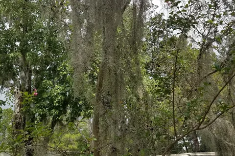 Big Tree RV Park