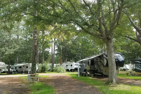 Big Tree RV Park