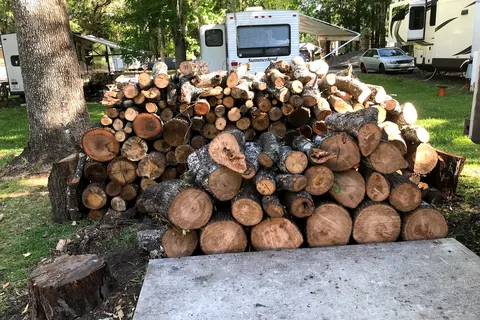 Big Tree RV Park