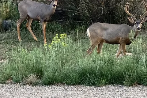 Cortez RV Resort