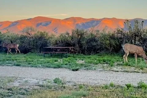 Cortez RV Resort